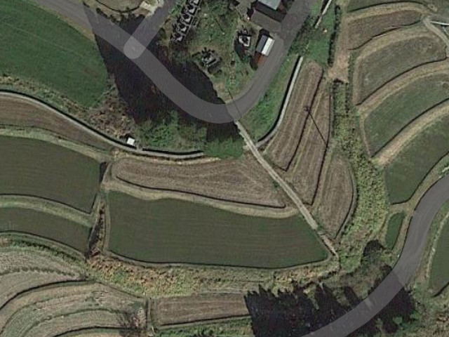 DroneSpraying19