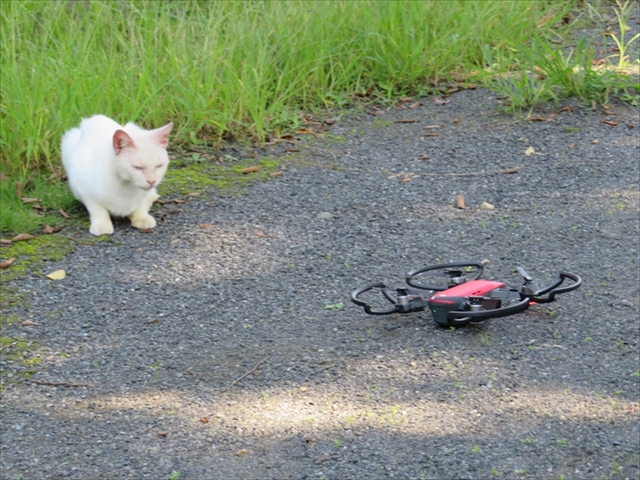 門司めかり公園