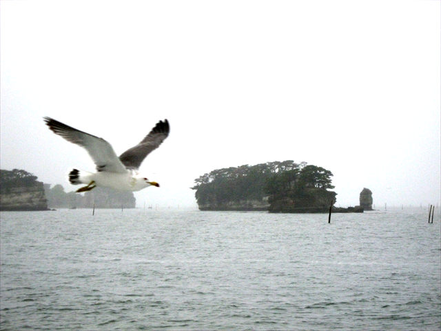 震災前松島観光船