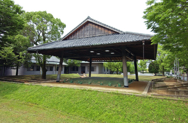sumo